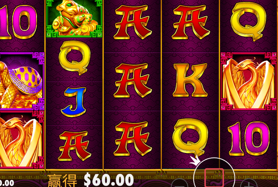 金兔.png