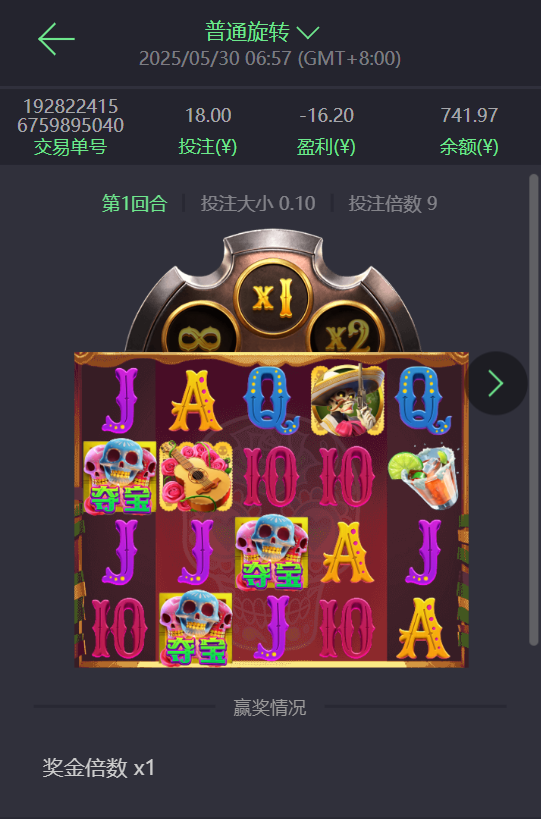 亡灵大盗.png