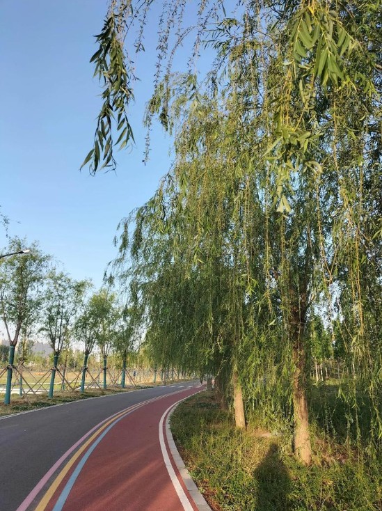 截图未命名.jpg