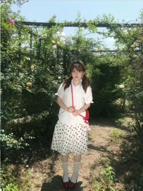 扬州 小密